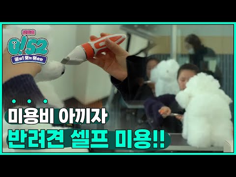 [생방송0!52] 고물가시대! 알뜰살뜰하게 살아가는 법