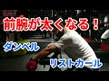 【ダンベルトレーニング】 前腕の鍛え方 (リバース)リストカール