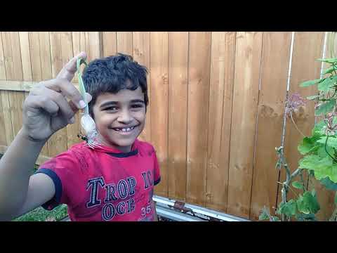 #Lockdown diaries - Kids Gardening #withme #stayhome #staysafe