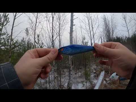 Alkutalven kalainen retki metsälammille.