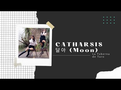 「Kpop Fest」CATHARSIS - 달아 (Moon)