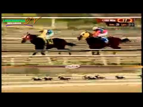LA RINCONADA 11 CARRERA DOMINGO 16 DE MARZO DEL 2014 COPA GACETA HIPICA