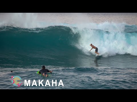 Fun waves and good surfing at Makaha Point