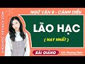 Lão Hạc Ngữ văn lớp 8 Cánh diều