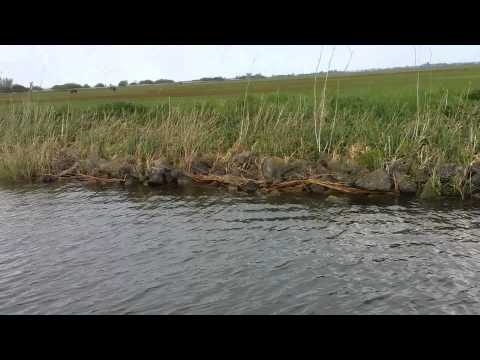 Christina Tati -Cantas da Lua - a vida uma batalha - Casa da Luz