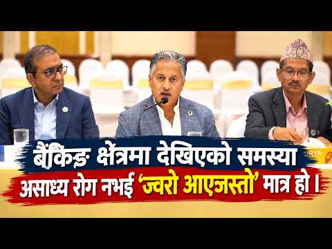 बैंकिङ क्षेत्रमा देखिएको समस्या असाध्य रोग नभई ‘ज्वरो आएजस्तो’ मात्र हो ।