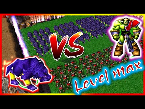 Warcraft 3 grunt vs dire wolf