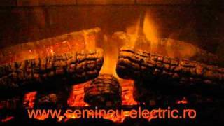 Seminee electrice de lux cu sunet real 30.wmv