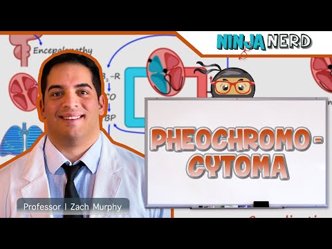 Hypothyroidism Clinical Medicine