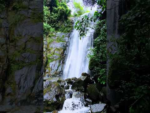 cascadas de pasmin y arcon en supia caldas #naturaleza #vistashermosas #paisajesextremos #travesia