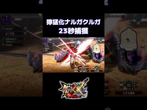 獰猛化ナルガクルガ　23秒捕獲 #mhxx