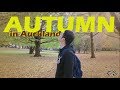 AUTUMN IN AUCKLAND NEW ZEALAND AUTUMN IN AUCKLAND NEW ZEALAND