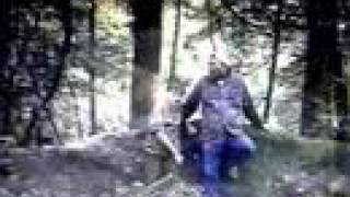 Hills of Pennsylvania, by Sunny James, Steelers Home Song