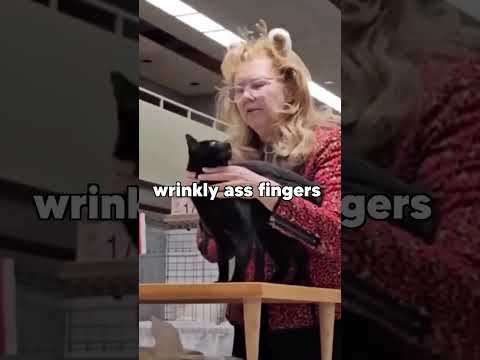 Cat pageant gone wrong