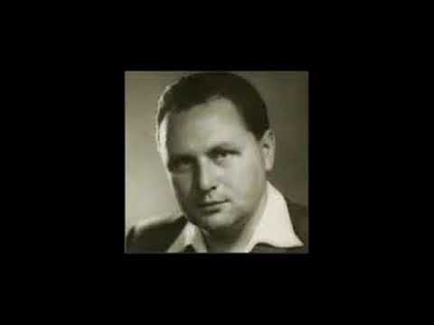 Angyal Nagy Gyula: Muzsikál az éj