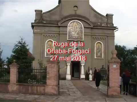 27.05.2018 - Ruga de la Ohaba-Forgaci