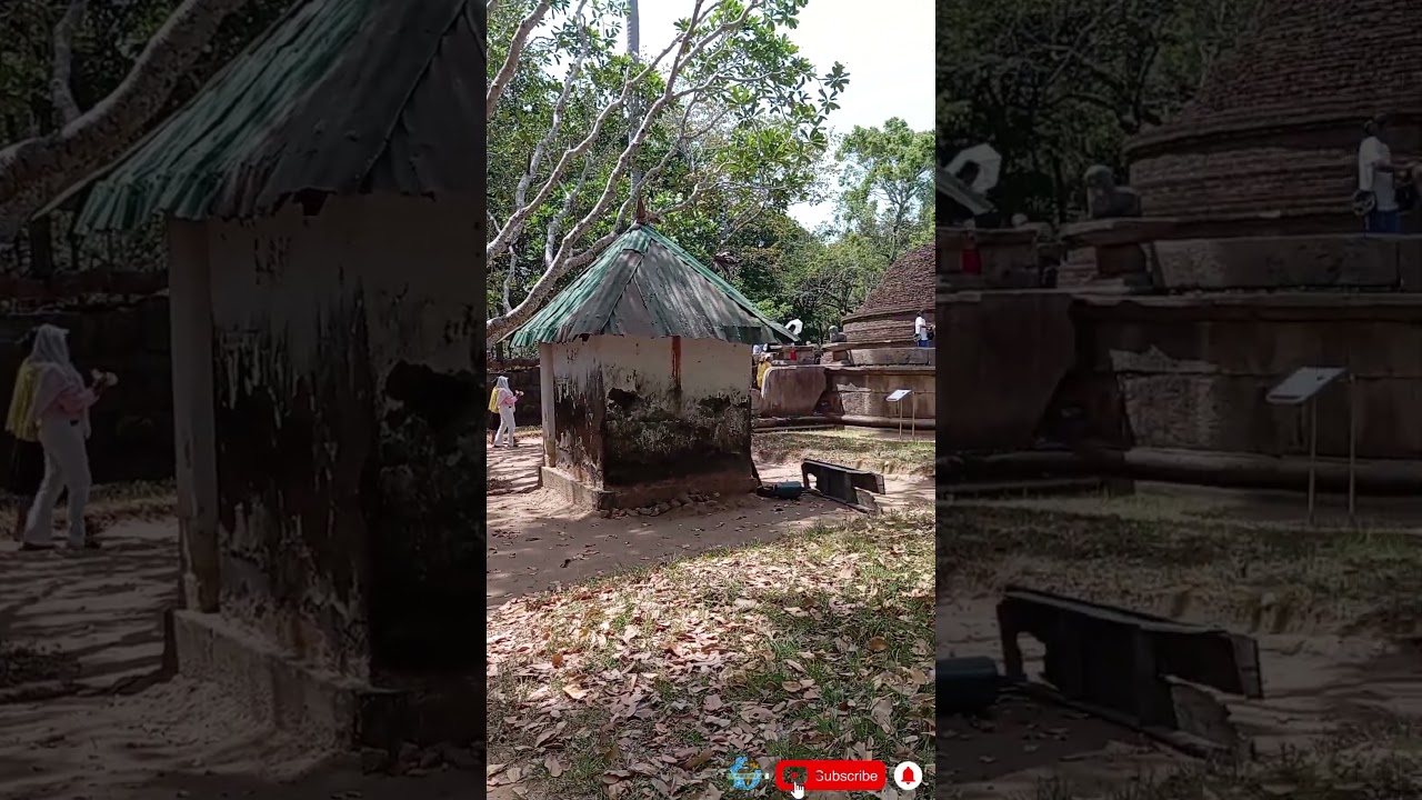 YouTube Short thumbnail