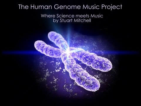 THE HUMAN GENOME MUSIC PROJECT - CHROMOSOME 1