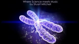 THE HUMAN GENOME MUSIC PROJECT - CHROMOSOME 1