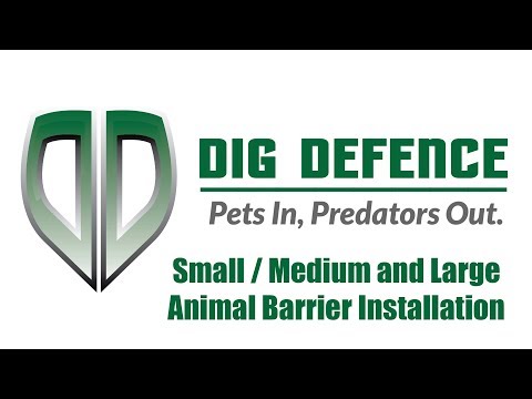 Digdefence Commerical Mp4