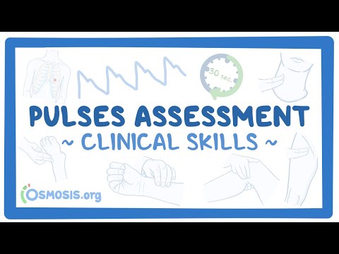 Clinical Skills: Pulses assessment