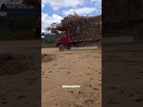 MOVIMENTAÇÃO NA USINA TAQUARA EM COLÔNIA LEOPOLDINA ALAGOAS