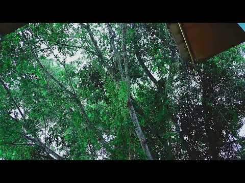 [1080P] RAIN ASMR + RELAXING MUSIC SOUNDTRACK