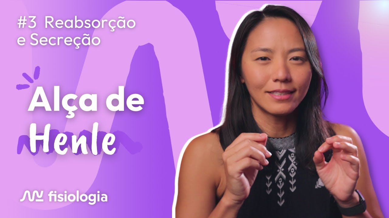 [#3] REABSORÇÃO E SECREÇÃO TUBULAR: ALÇA DE HENLE | MK Fisiologia