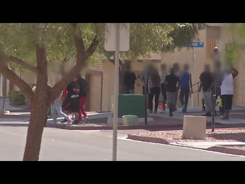 UPDATE: Teens terrorize neighborhood