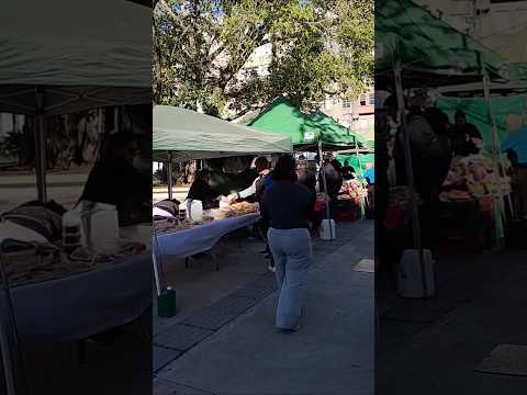 feira do produtor na praça Saldanha Marinho, ruas de santa Maria