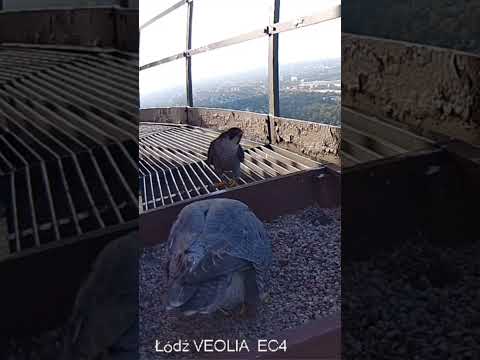 Chodź ,chodź pogadamy 😃