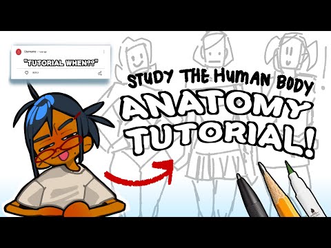 HOW TO DRAW ANATOMY | breaking down the steps to drawing bodies 🌱