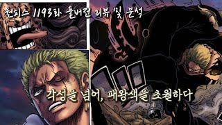 [원피스 1193화 풀버전 리뷰] 각성 그 이상! 신의 기사단도 일격에 베어버린 조로의 진화한 패왕색 기술