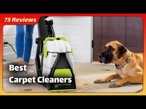5 Best Carpet Cleaners 2024: Resurrect Your Rugs