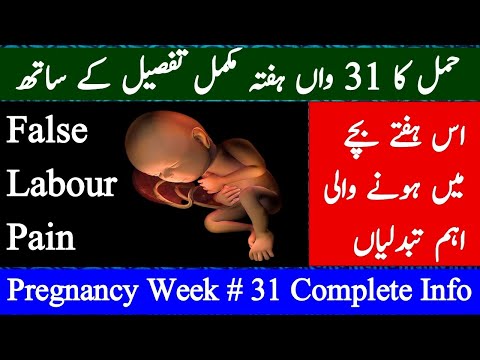 31Week Pregnant || 31th Week Of Pregnancy || Hamal Ka 31 Hafta ||