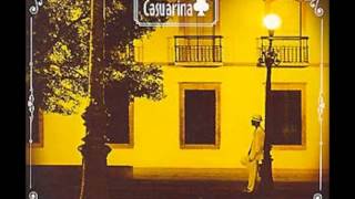 Casuarina   falso moralista