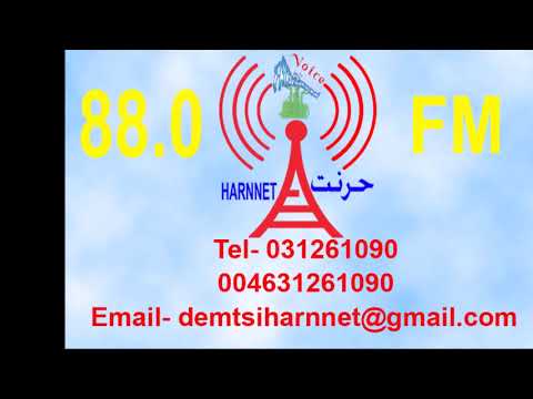 Dimtsi Harnnet Sweden 22.02.2025