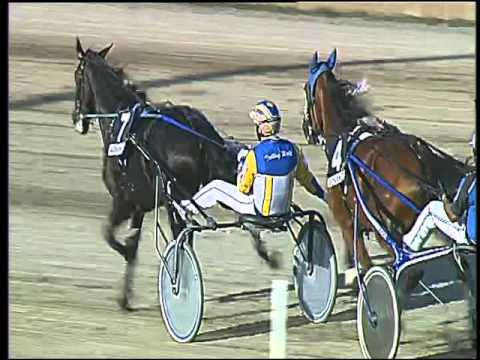 Trotto 24/09/2015 - 5° corsa