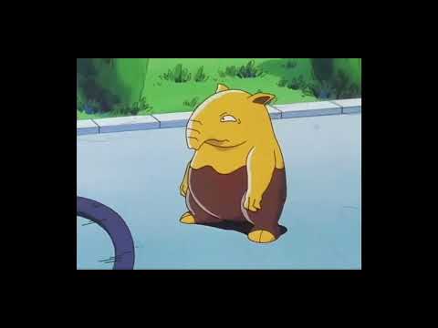 The look on Drowzee and Hypno's faces