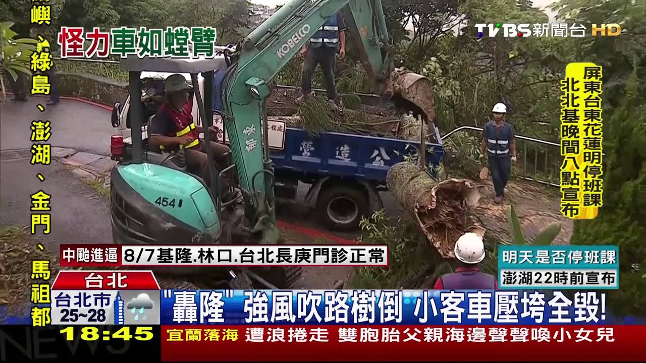 「轟隆」強風吹路樹倒 小客車壓垮全毀!