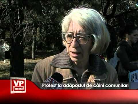 Protest la adăpostul de câini comunitari