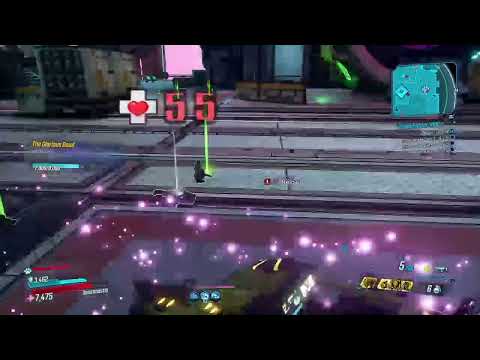 Mrmeltdown's FL4K Radiation build at Slaughterstar 3000