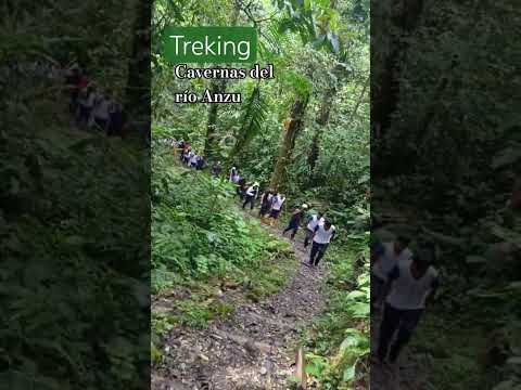 Cavernas del río Anzu. Mera, Pastaza