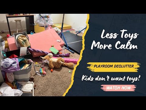 This is Why We're Getting Rid of Toys