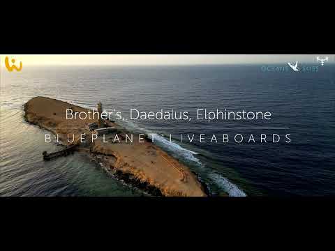 Marineparks Red Sea | Blue Storm | Blueplanet Liveaboard | Oceans & Skies 2023