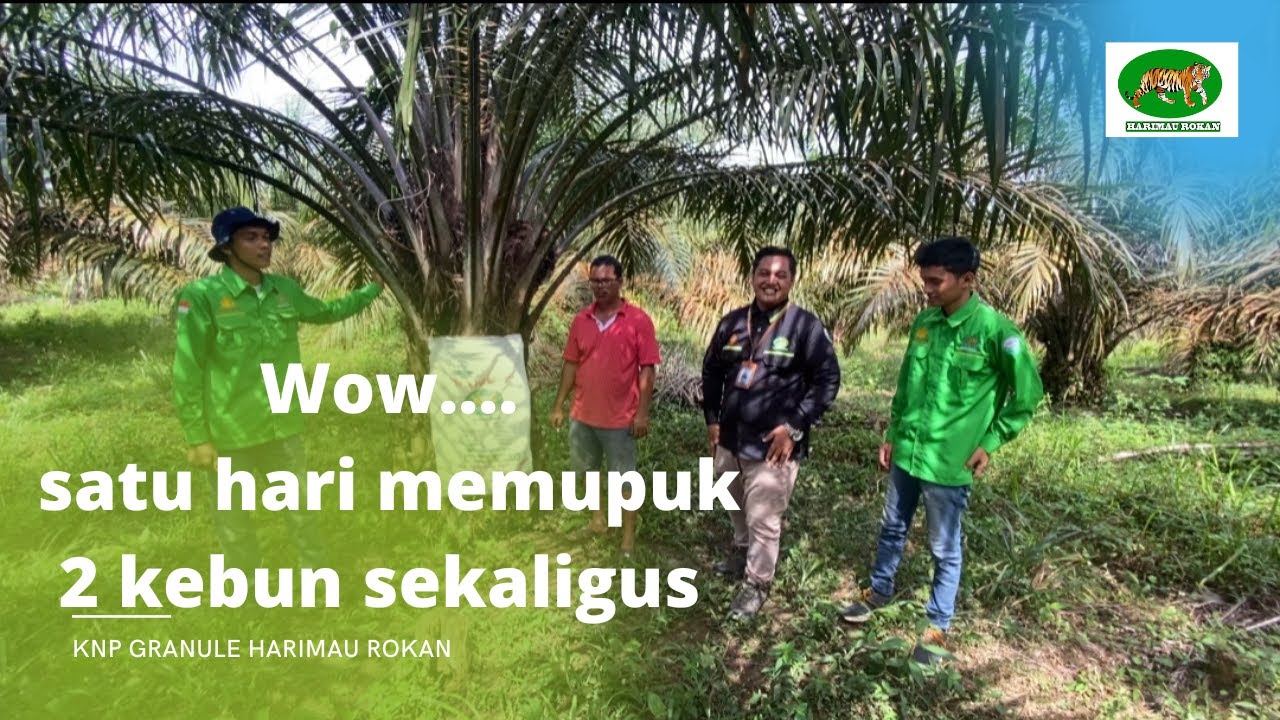Memupuk Dua Kebun Sekaligus