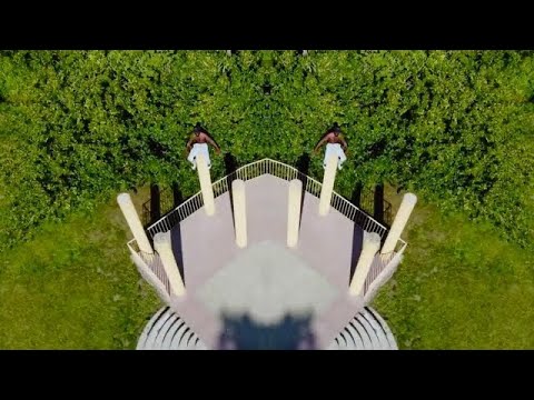 GORII - MOI J'SUIS UN GORILLE Pt 1 - Paniqué (Clip Officiel)