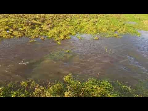 River Lugg 15 12 2017