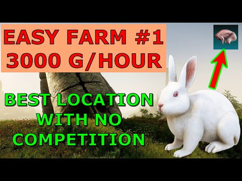 YouTube video about: Where to find rabbits new world?