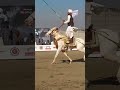 Horse Riding Free Style Shorts Nezabazi Usa Horseracingusa